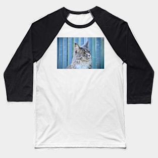 Maine Coon Blue / Swiss Artwork Photography Baseball T-Shirt